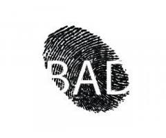 Bureau for Architecture and Design (BAD)