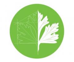 Fancy Parsley Architecture Design