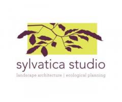Sylvatica Studio