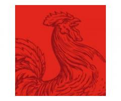 Big Red Rooster