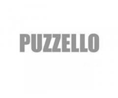 PUZZELLO ARCHITECTURE PRACTICE