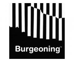 Burgeoning