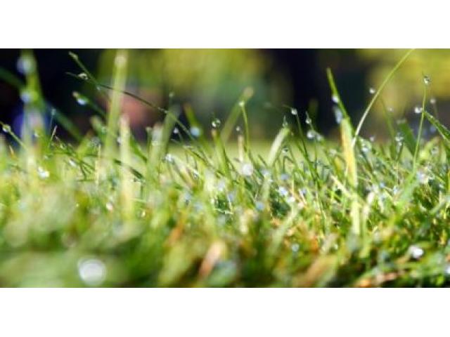 Southern Maryland Landscaping and Lawn Care - 1