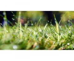 Southern Maryland Landscaping and Lawn Care