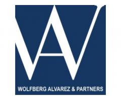 Wolfberg Alvarez and Partners