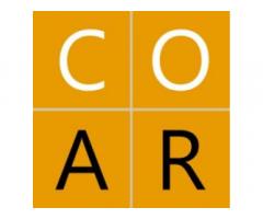CO-AR Design
