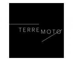 TERREMOTO