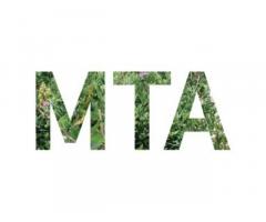 Melinda Taylor and Associates