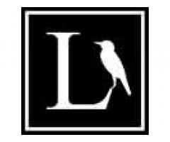 Lark Architecture