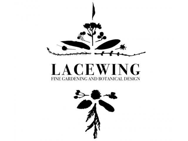 Lacewing Fine Gardening & Botanical Design - 1